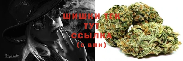 стаф Зеленодольск