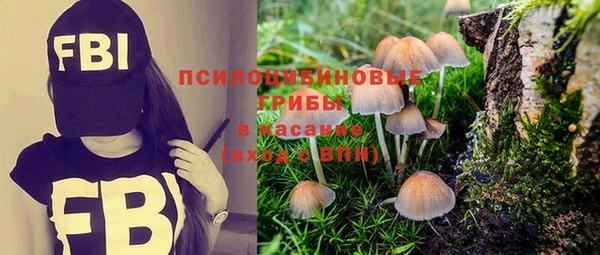 Альфа ПВП Иннополис