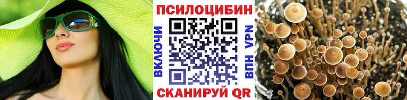 это наркотические препараты  Кинешма  Псилоцибиновые грибы ЛСД 