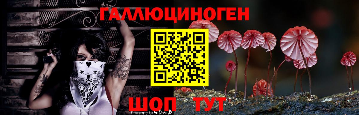 Кинешма  Псилоцибиновые грибы MAGIC MUSHROOMS  Псилоцибиновые грибы мицелий  Вход с VPN 